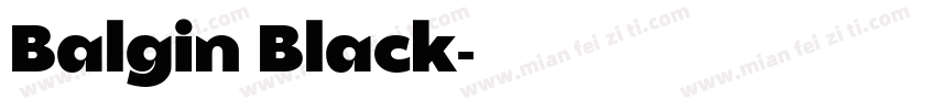 Balgin Black字体转换